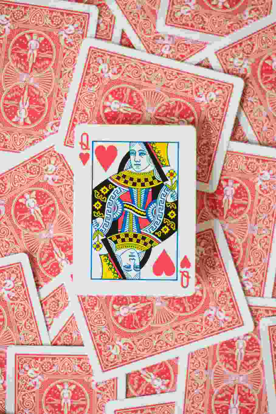 casinointensecasinos.com casinointensecasinos.com